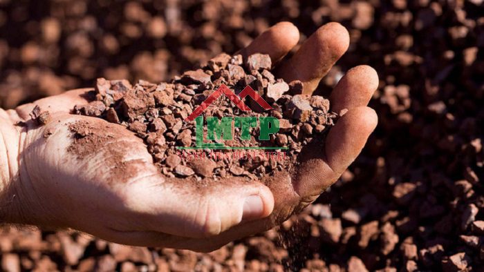 bao gia quang sat hom nay