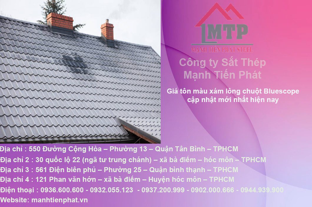 ton mau xam long chuot tai mtp