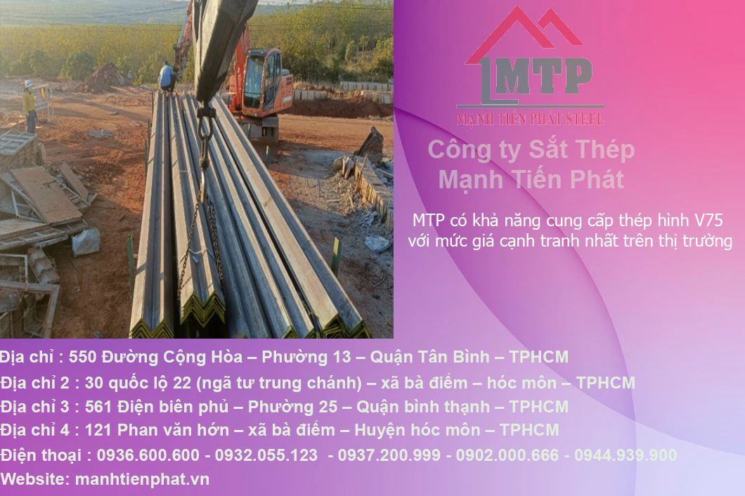 thi truong tieu thu thep v