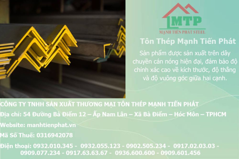 thep V50x50x3.0mm a chau 11