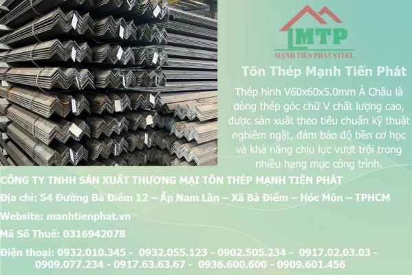 thep V60x60x5.0mm a chau 1