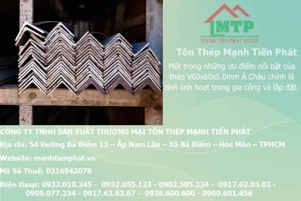 thep V60x60x5.0mm a chau 12