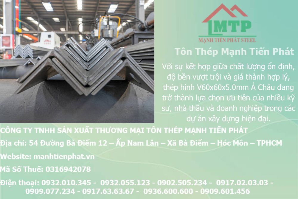 thep V60x60x5.0mm a chau 14