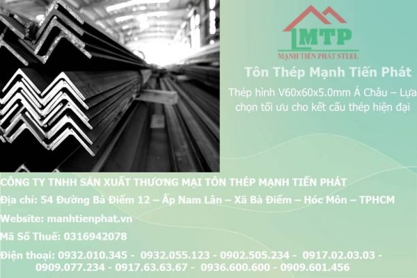 thep V60x60x5.0mm a chau 16
