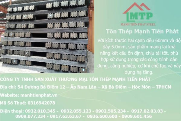 thep V60x60x5.0mm a chau 2