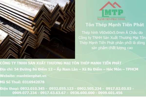 thep V60x60x5.0mm a chau 29