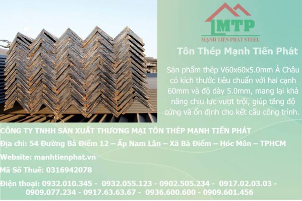 thep V60x60x5.0mm a chau 31