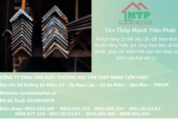 thep V60x60x5.0mm a chau 33