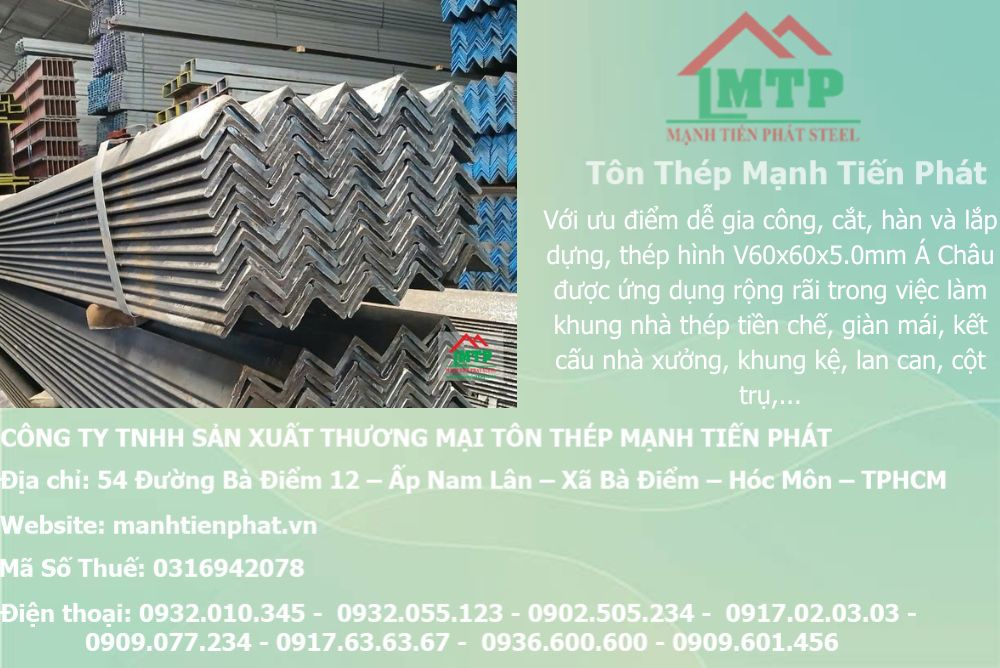 thep V60x60x5.0mm a chau 4