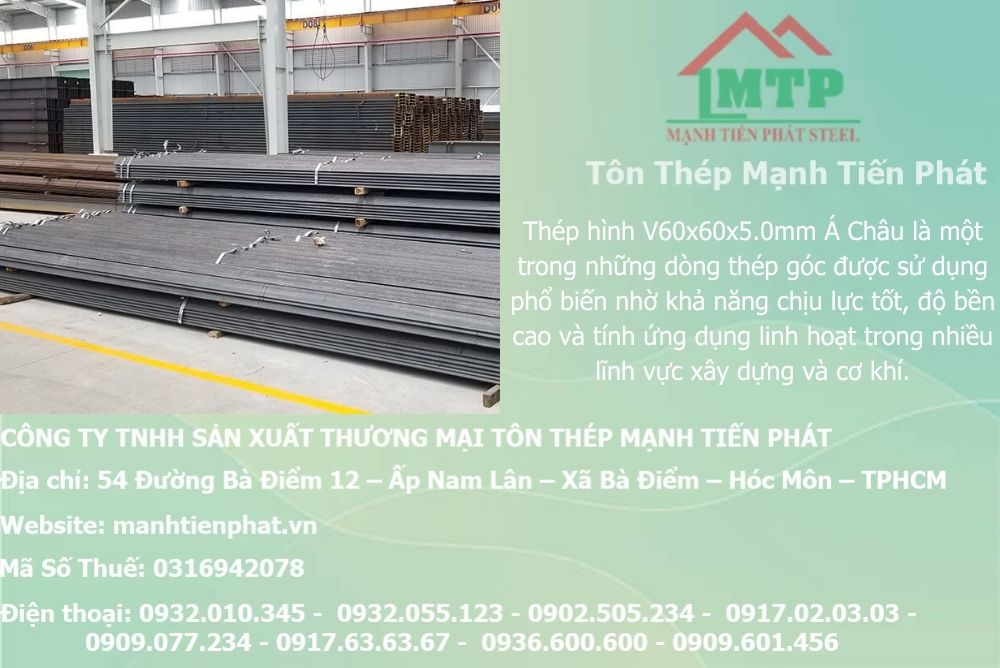 thep V60x60x5.0mm a chau 7