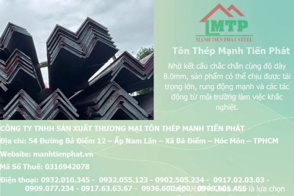 thep V100x100x8.0mm a chau 15