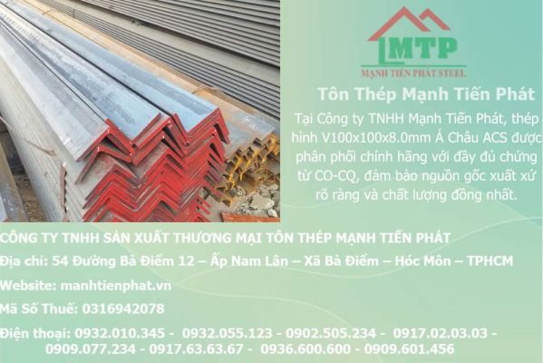 thep V100x100x8.0mm a chau 23