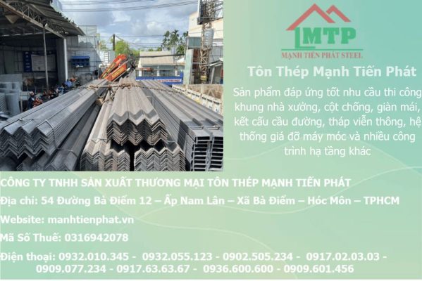 thep V100x100x8.0mm a chau 35