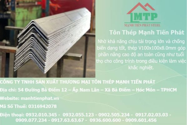thep V100x100x8.0mm a chau 36