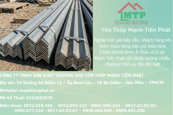 thep V100x100x8.0mm a chau 44