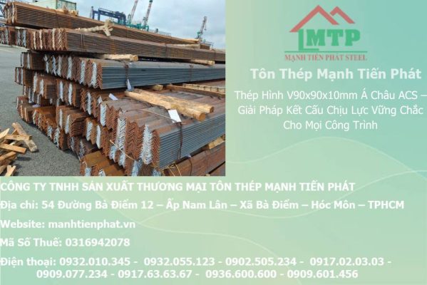 thep V90x90x10mm a chau 1
