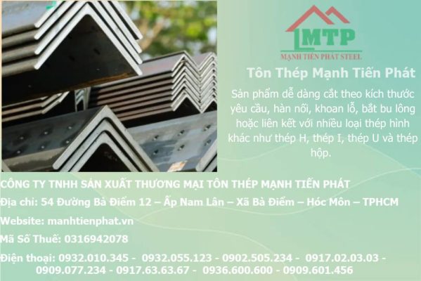 thep V200x200x20mm a chau 14
